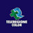 TeleRegione Color