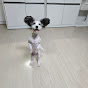 이워리 일상