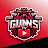 Wighill Park Guns Tv