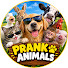 ktQ8ooG2Efc-channel-avatar-Prank Animals