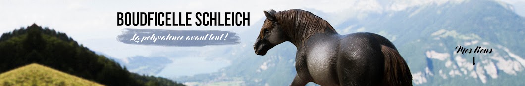 Boudficelle Schleich YouTube channel avatar