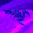 @Danboi.'s avatar