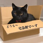 ズボラ主婦の暇つぶし