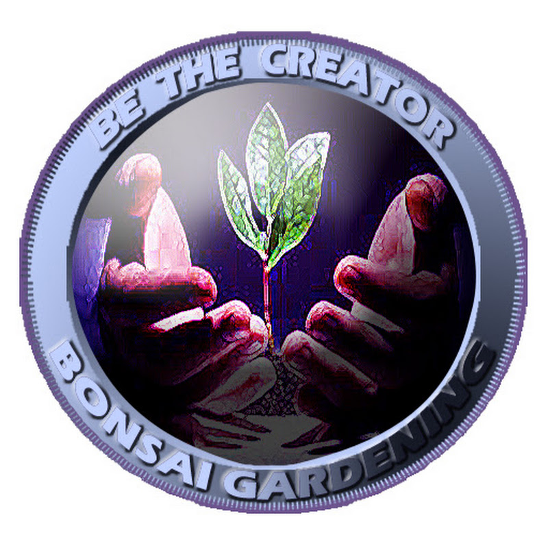 BeThe CREATOR icon