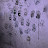 @Randomplayer000