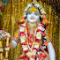 uaeAyM-z0gs-channel-avatar-রাধ্যে রাধ্যে বল 