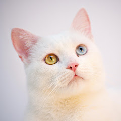 憂鬱よりスカッと