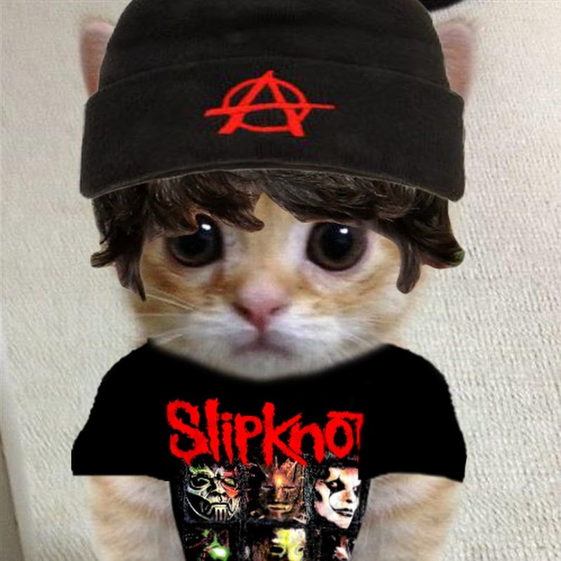 Channel Avatar