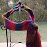 1-PaMmobs1U-channel-avatar-Doll Fairy Creations