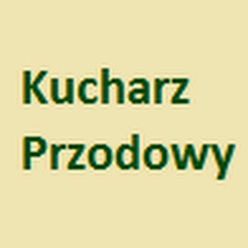 Kucharz Przodowy