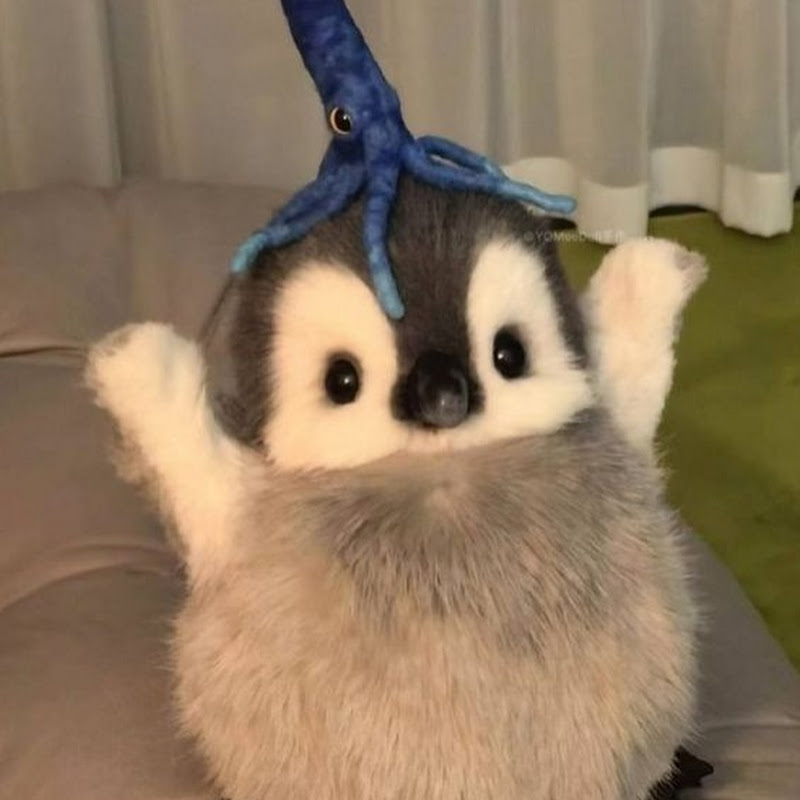 Nọc ở một thế giới khác