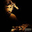 @Amin.M.A.R