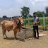 vVPx_Hr55Ms-channel-avatar-@Rahulgurjarujjain