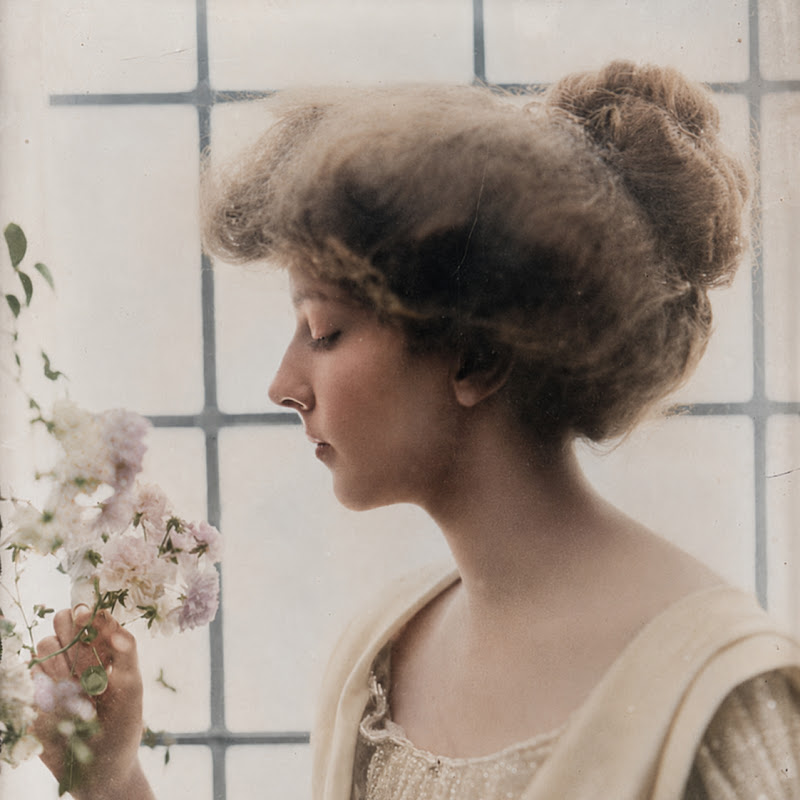 Colorized Images