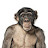 @CourneliusX's avatar