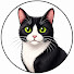RQMOF2QgtAE-channel-avatar-Inside Your Cat