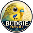 OyAQ4J3_Low-channel-avatar-Budgie Psyche