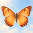 qUfvCa-bJMo-channel-avatar-Lives Unfold
