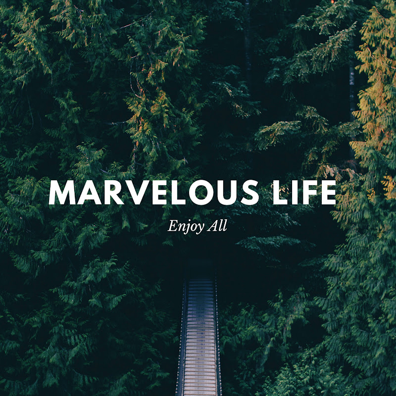 Marvelous Life