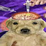 ONfTky03Vdc-channel-avatar-crememes 
