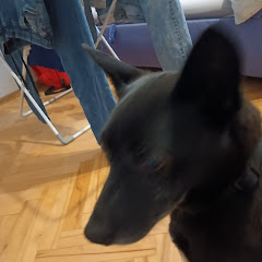 Onia
