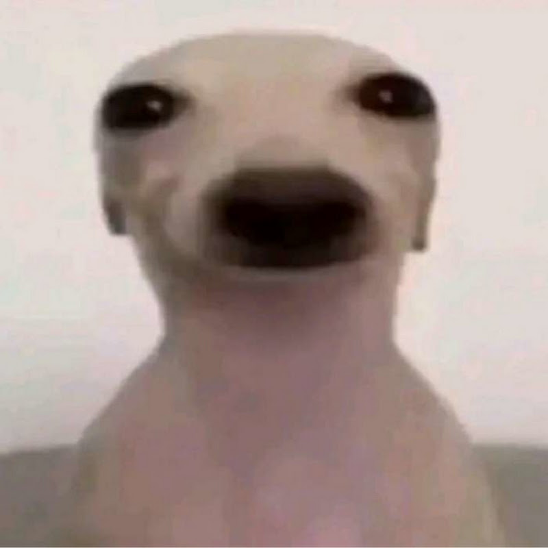ELSILVON