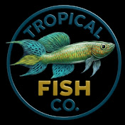 Tropical Fish Co.
