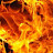 @timlandis1169 Avatar