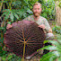 v46yrHxeTic-channel-avatar-The Pocket Rainforest™