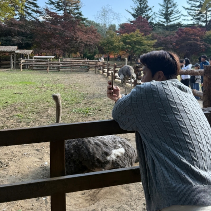ASMR동네형