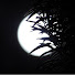 ce81hOv3_XU-channel-avatar-Nightwards666