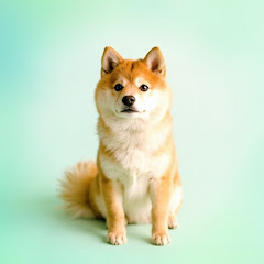 诸城市金色童年李老师