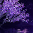 CS3Py5VnpfY-channel-avatar-Soft Relax Sleep