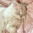 @جودي-ج1ك2ذ