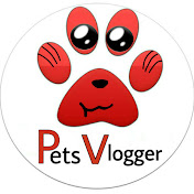 Pets Vlogger