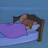 @SleepL3arner