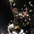 X_nqCRp6mDI-channel-avatar-Luna Seraph
