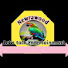 6r3Pzk9nNC0-channel-avatar-Newrawood
