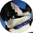 KGxdQY1c5qA-channel-avatar-kenjis_emo