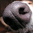 @theunknownkeyboardist6154's avatar