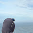 V92IwR8_XQg-channel-avatar-Barakah Living
