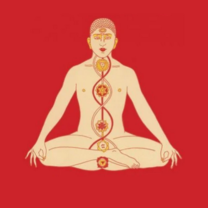 serpent power