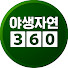 Channel Image