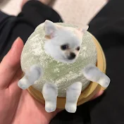 時空操者