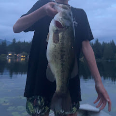 Bassin Wa