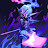 @user-pk9gj7cx5z