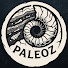 Fzb2SuS3Inw-channel-avatar-Paleoz