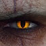 _2R2q388UTI-channel-avatar-Feline Senses