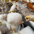 6BSSNQs1Do4-channel-avatar-Finland Life