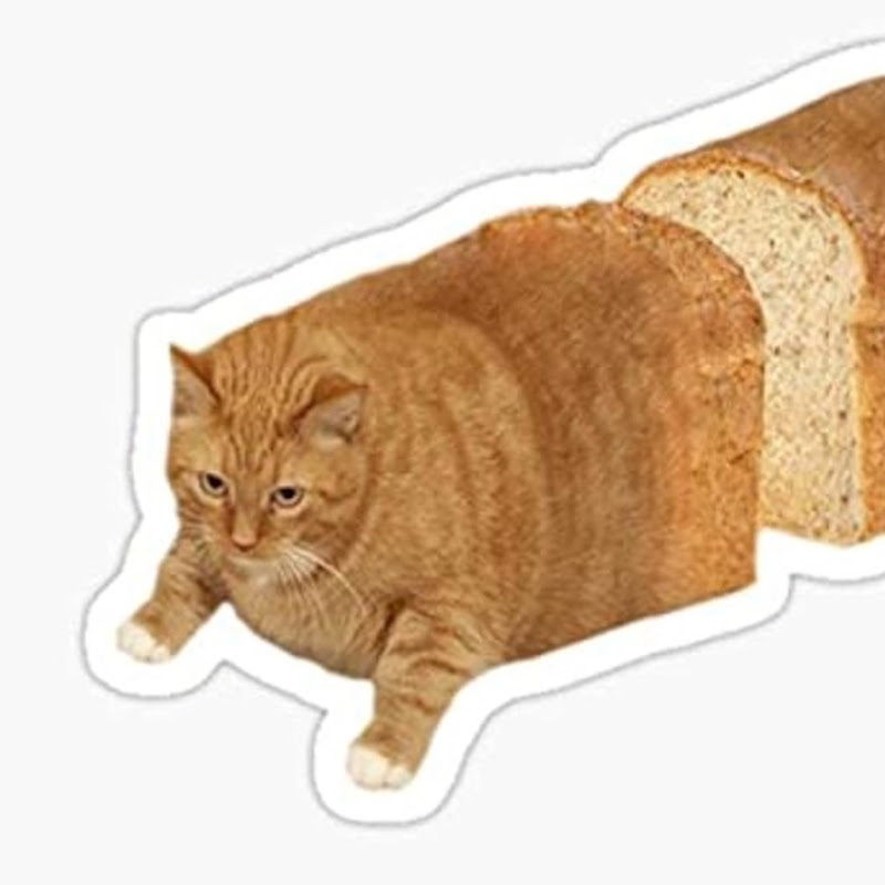 LOAFCAT